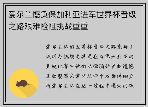 爱尔兰憾负保加利亚进军世界杯晋级之路艰难险阻挑战重重