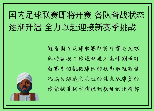 国内足球联赛即将开赛 各队备战状态逐渐升温 全力以赴迎接新赛季挑战